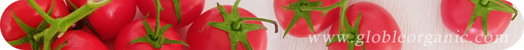 全球有機(jī)網(wǎng)，有機(jī)食品，有機(jī)信息
